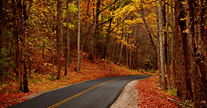 CML Insight article for too long